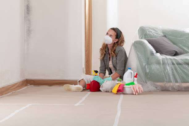 Reliable Mold Remediation contractor in Centreville, VA by 24 Hour Mold Removal